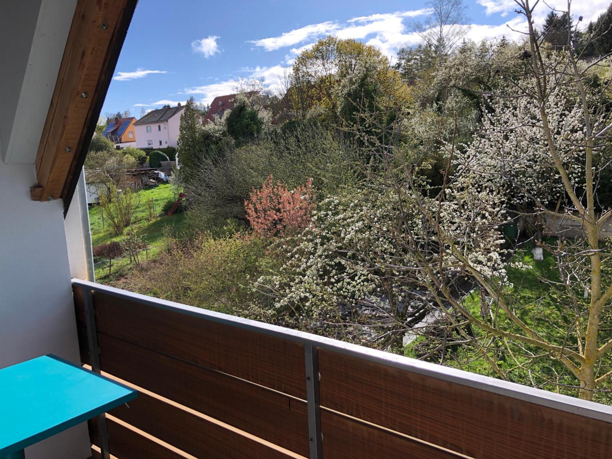Blaues Zimmer Mit Grossem Balkon, Bad Ist Ein Traum, 50 Schritte Zum Radweg Am Main,Ideal For Short Stay Mainstockheim Exterior photo